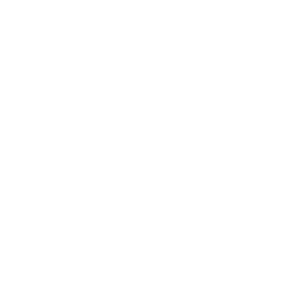 _Nieuw_tds_logo_wit